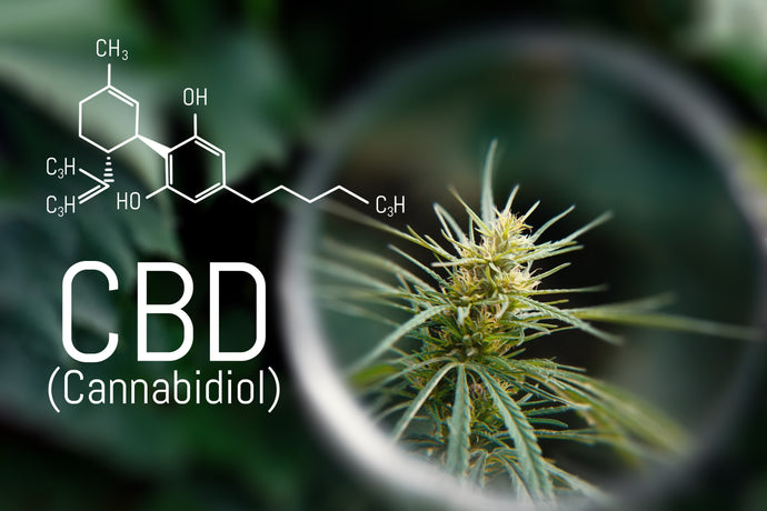 Was ist CBD?